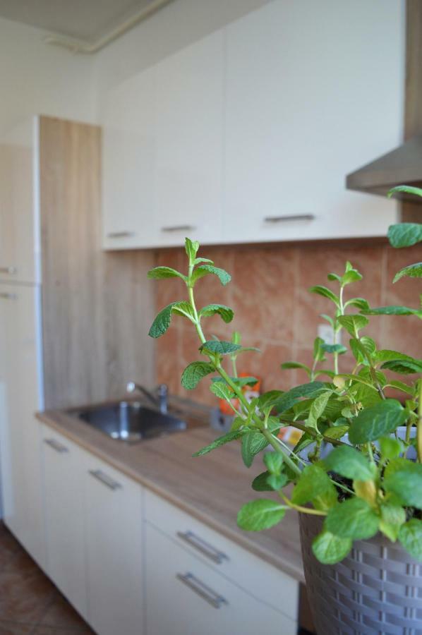 Apartment Marlena Zagreb Exteriör bild